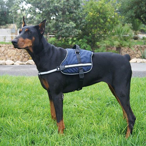 Arn&eacute;s Active ARN&Eacute;S ROJO XS, , large Imagen numero 4