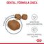 8 kg Royal Canin Adult Oral pienso para gatos, , large indicador imagen numero 5