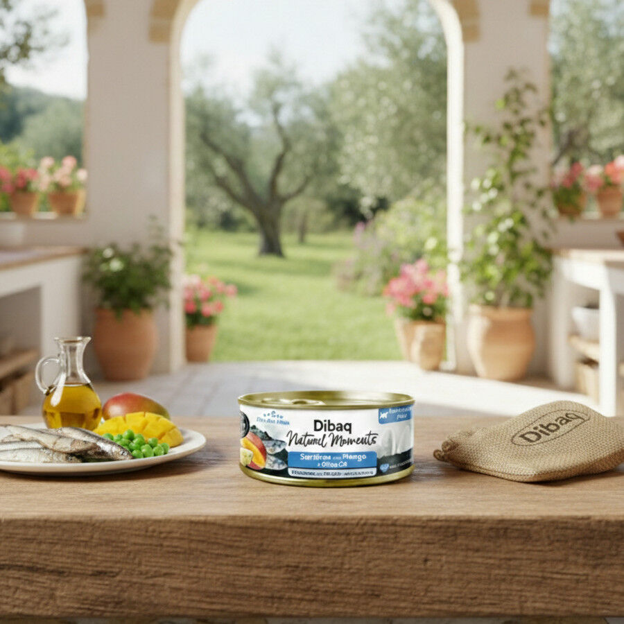 12 Latas x 70 g Dibaq Natural Moments Lata Sardinas con Mango para gatos esterilizados - Pack ahorro, , large Imagen numero 3