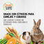 2 barritas Small Life Barritas Snack con C&iacute;tricos para conejos y cobayas, , large indicador imagen numero 4