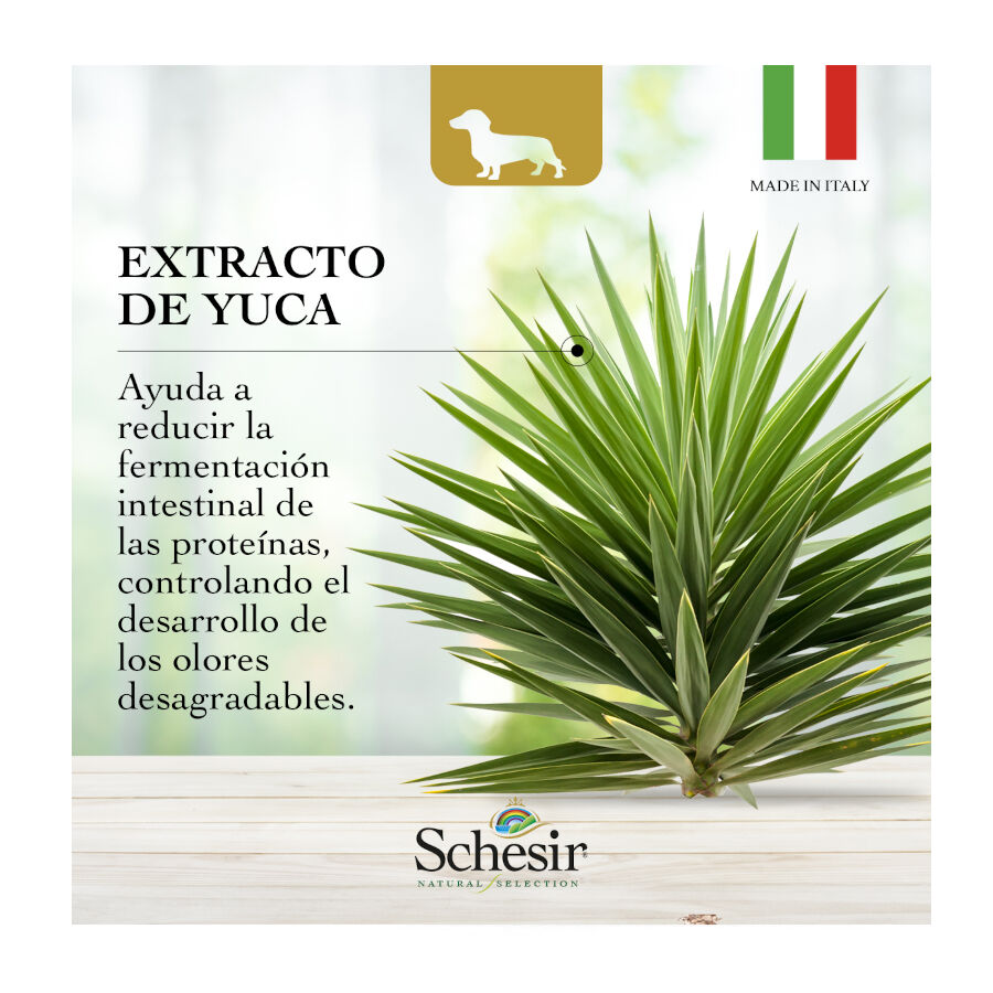 2.24 kg Schesir Adult Small&Toy Natural Selection Pavo pienso para perros, , large Imagen numero 7