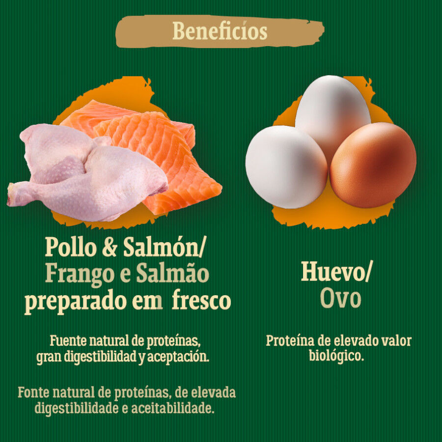 2 kg True Origins Wild Adult Country Water Pollo y Salm&oacute;n pienso para gatos, , large Imagen numero 5