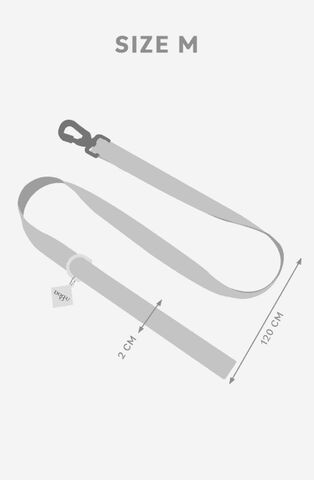 Correa para perros | Looney Tunes - Pato Lucas, , large Imagen numero 3