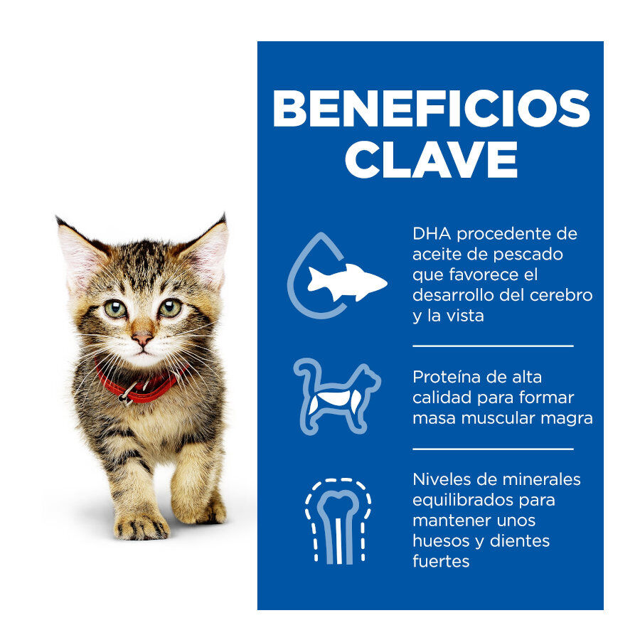 85 g Hill's Science Plan Kitten Pavo en Salsa sobre para gatos, , large Imagen numero 4