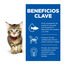 85 g Hill's Science Plan Kitten Pavo en Salsa sobre para gatos, , large indicador imagen numero 4