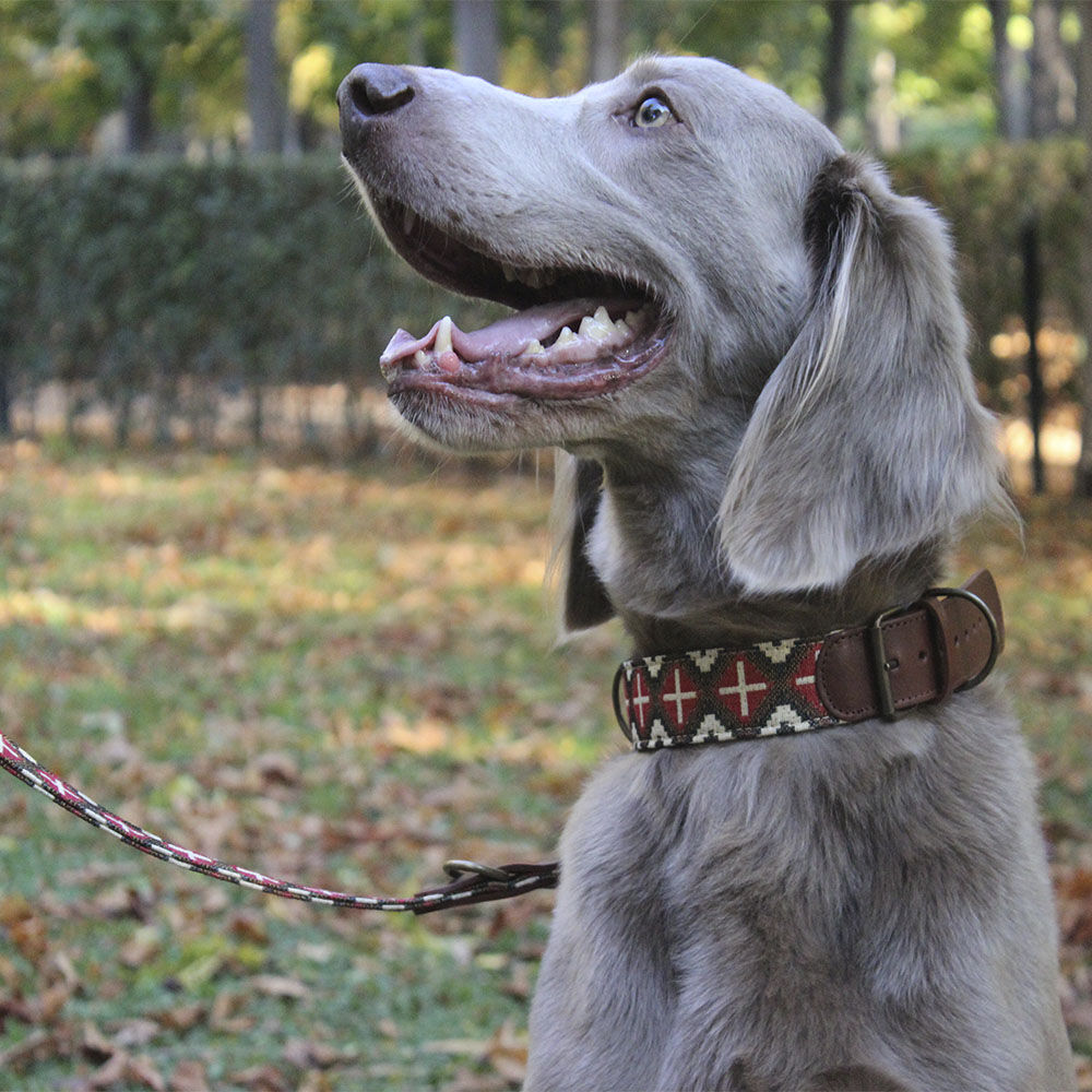 Ladran Gaucho Collar Milu hecho a mano para perros, , large Imagen numero 2