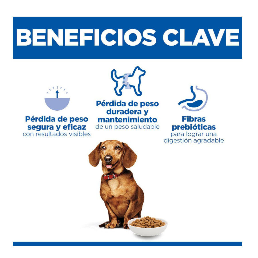 1.5 kg Hill's Science Plan Perfect Weight Adult Small y Mini pienso para perros, , large Imagen numero 3