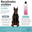 Champú para Perros con Colágeno Hidrolizado - 750ml - MD10 COLLECTION, , large indicador imagen numero 3