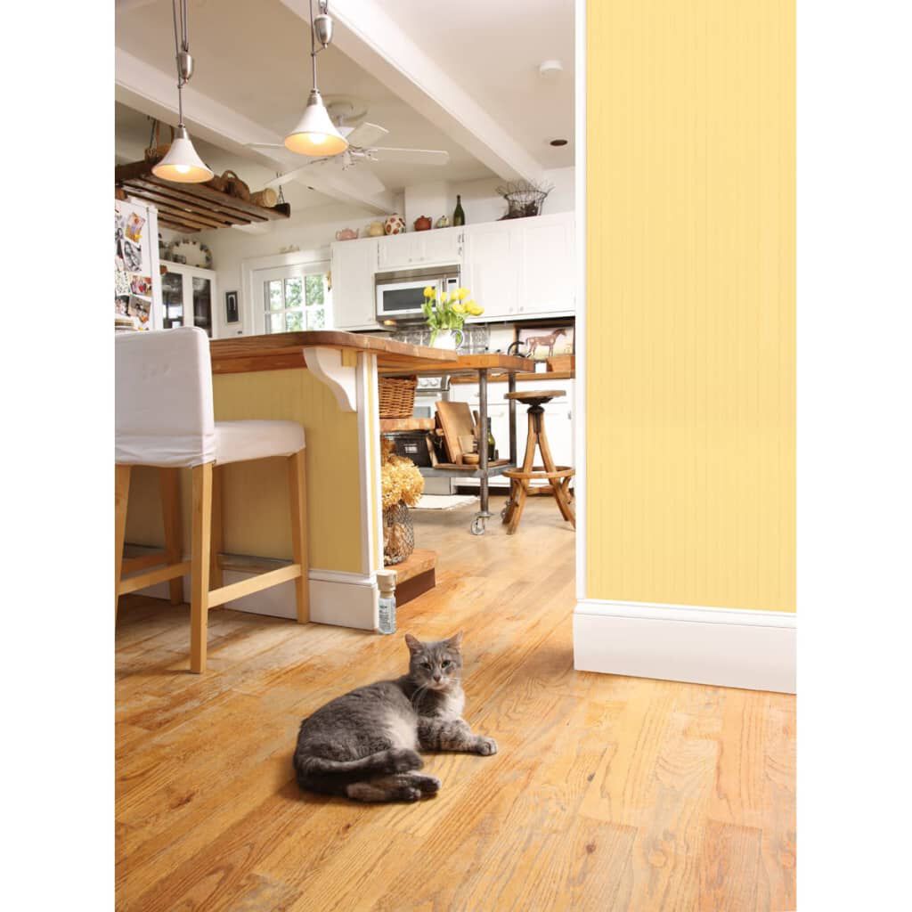 PetSafe Repelente pulverizador para mascotas Ssscat 1 m 6059A, , large Imagen numero 2