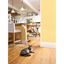 PetSafe Repelente pulverizador para mascotas Ssscat 1 m 6059A, , large indicador imagen numero 2