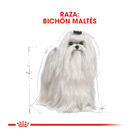Royal Canin Adult Bichón Maltés pienso para perros, , large image number null