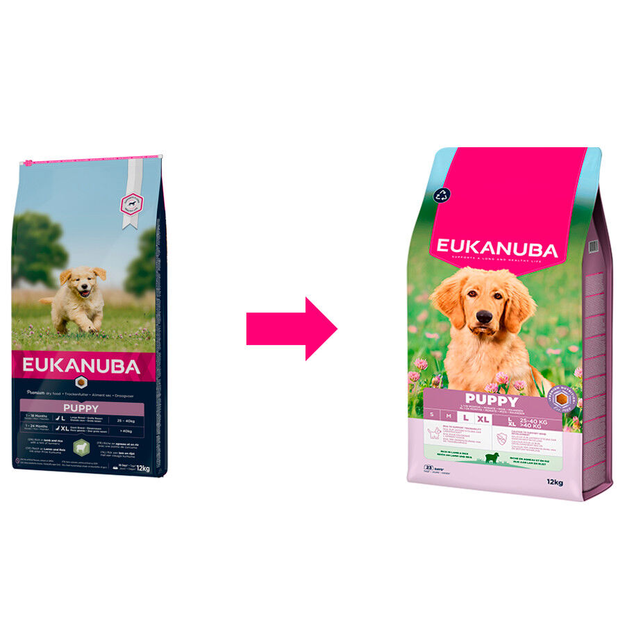 12 kg Eukanuba Puppy Large Cordero y Arroz pienso para cachorros, , large Imagen numero 1