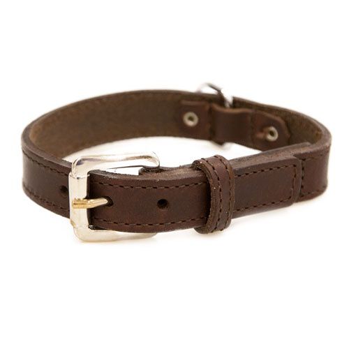 TK-Pet Namur Collar de Cuero Marr&oacute;n para perros, , large Imagen numero 1