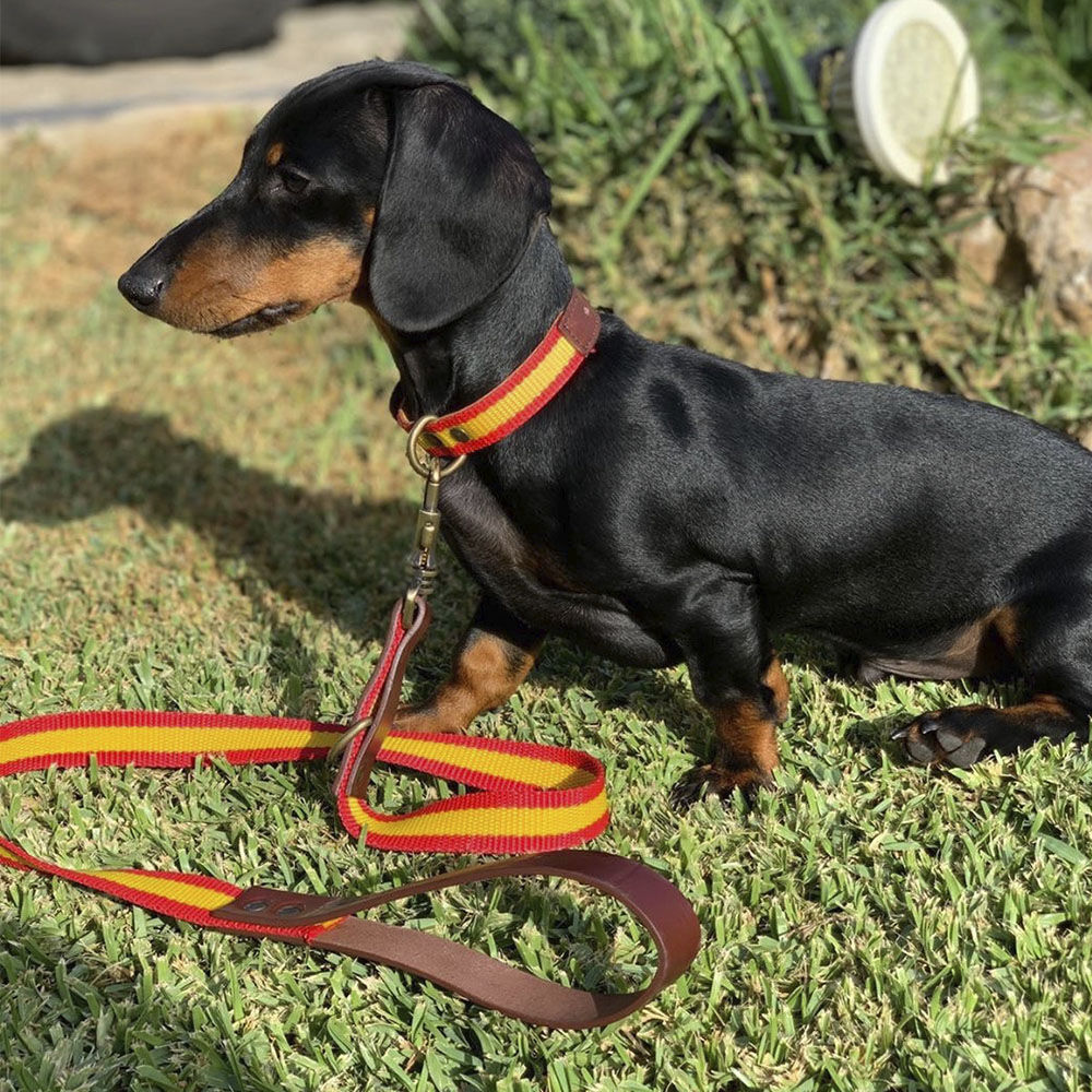 Ladran Gaucho Correa Espa&ntilde;a hecho a mano para perros, , large Imagen numero 2