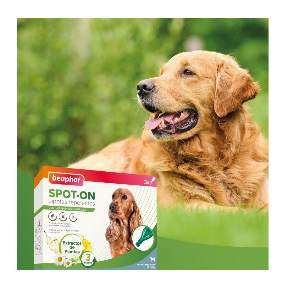 Beaphar Pipetas Repelentes para perros thumbnail