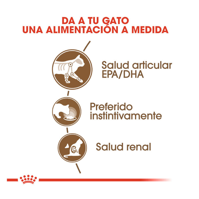 Royal Canin Ageing 12+ gelatina sobres para gatos thumbnail