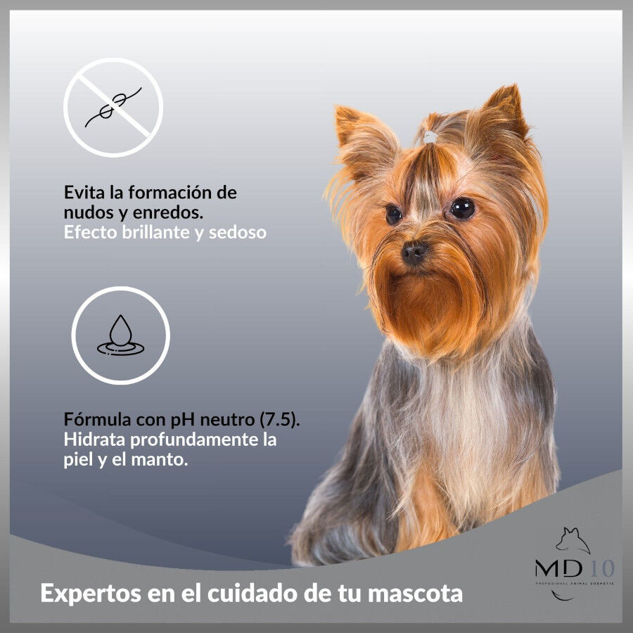 Pack Productos para Yorkshire Terrier - Hecho Espa&ntilde;a - MD10 COLLECTION, , large Imagen numero 2