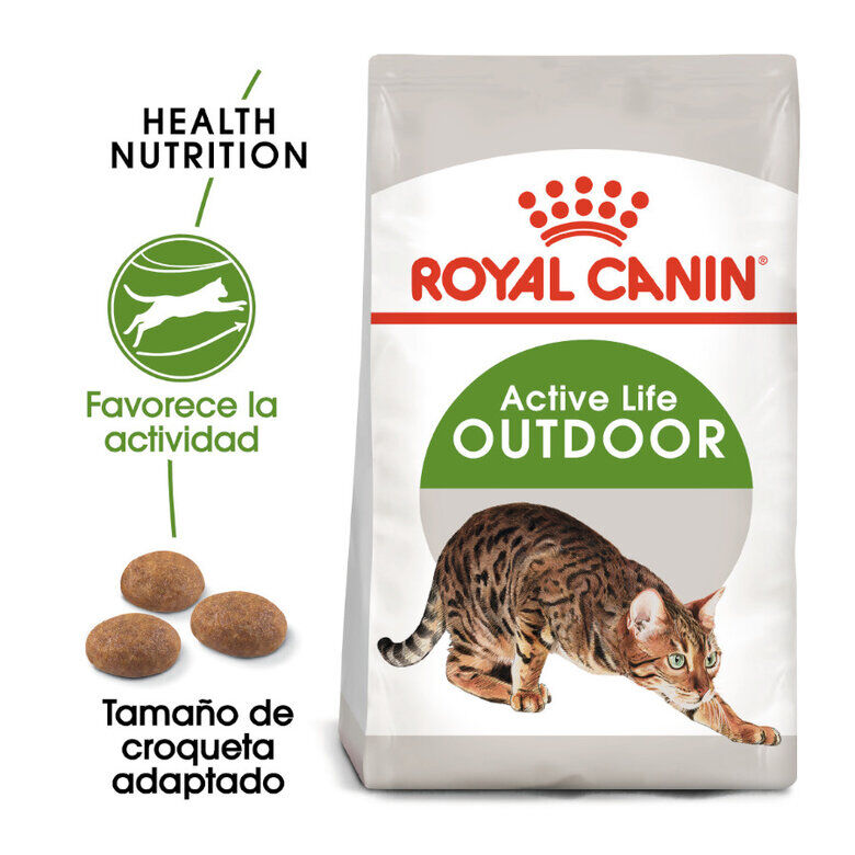Royal Canin Active Life Outdoor pienso para gatos thumbnail