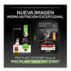 Pro Plan Puppy Medium Pollo pienso para Cachorros, , large image number null