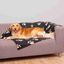Trixie Barney Manta Estampada Negro y Beige para perros, , large indicador imagen numero 2