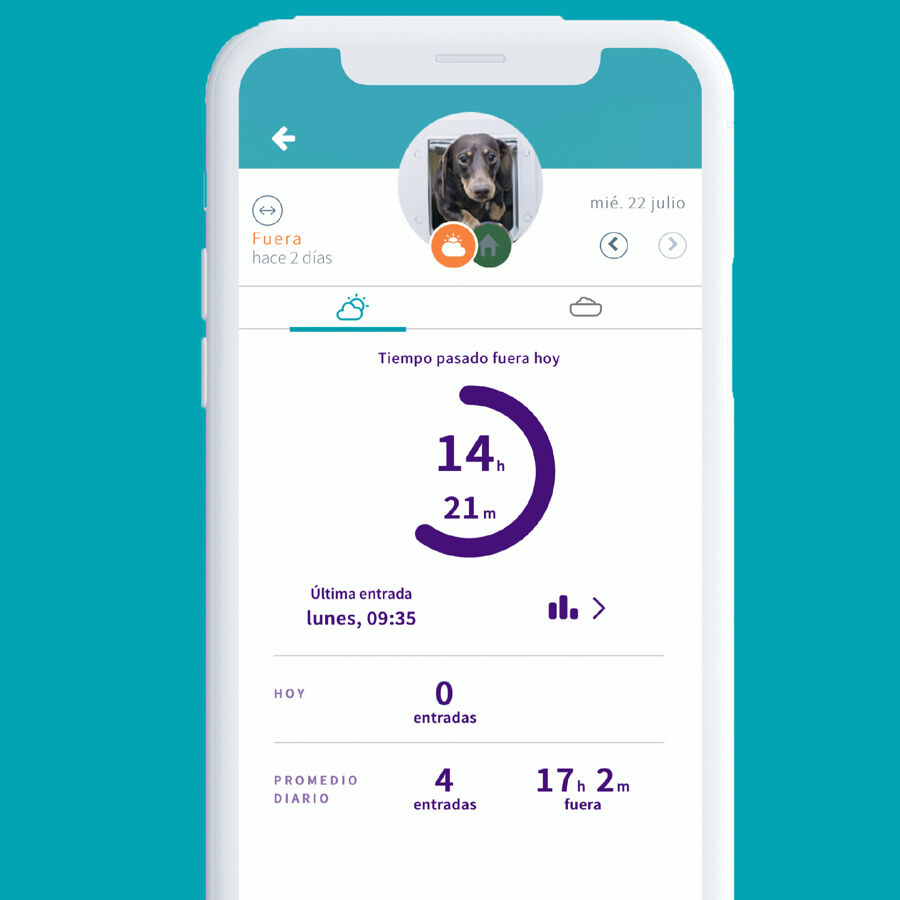 Sure Petcare SureFlap Puerta Autom&aacute;tica Blanca con Microchip, , large Imagen numero 6