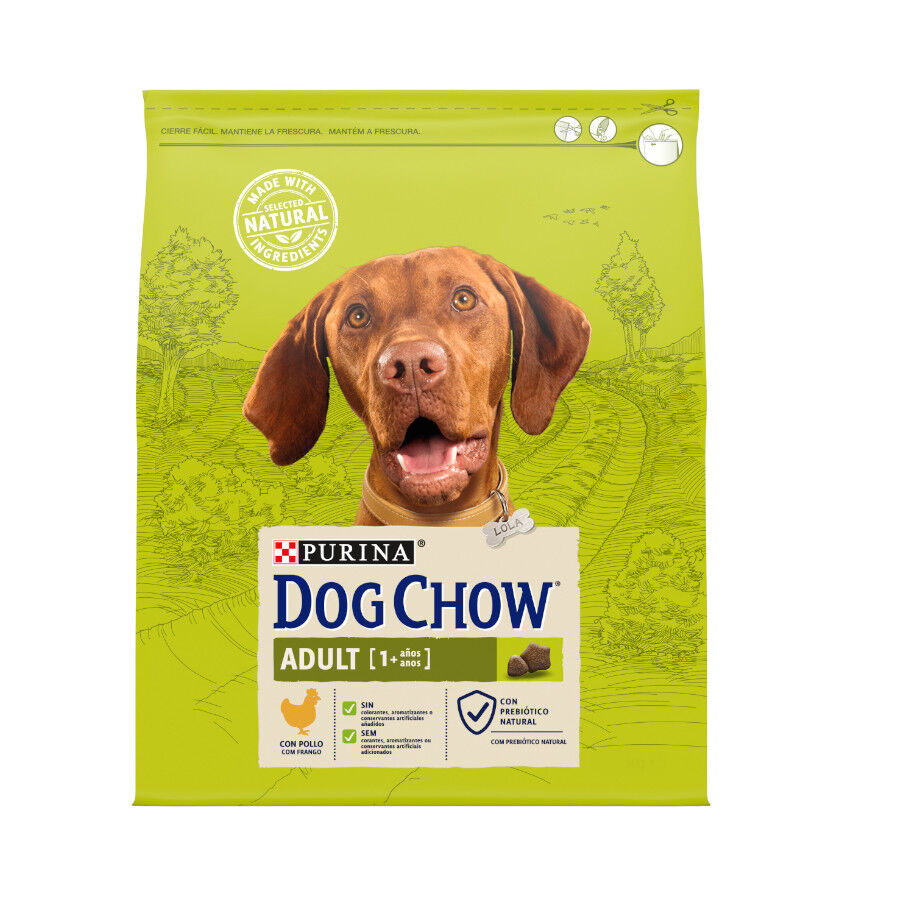 Dog Chow Adult Pollo pienso para perros
