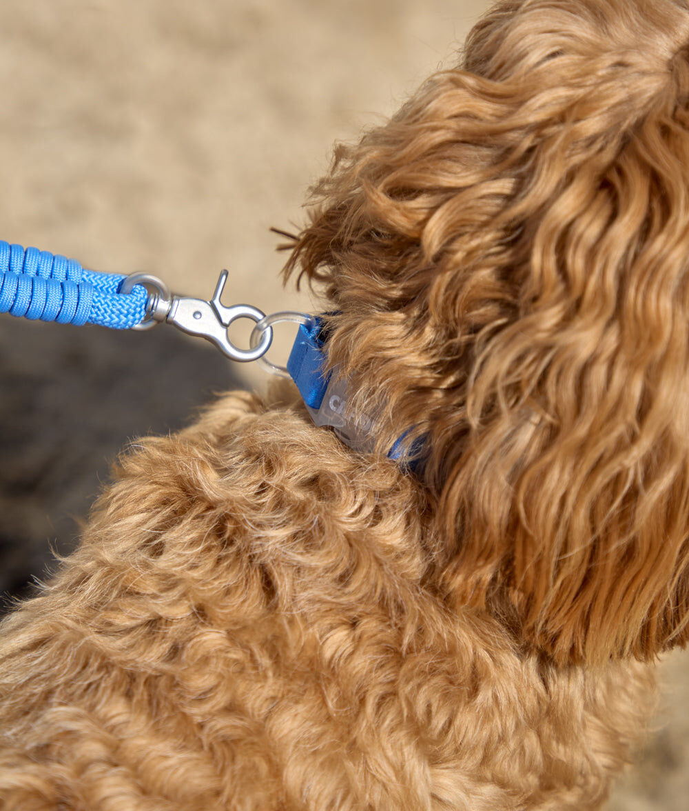 Collar, Ona, , large Imagen numero 3