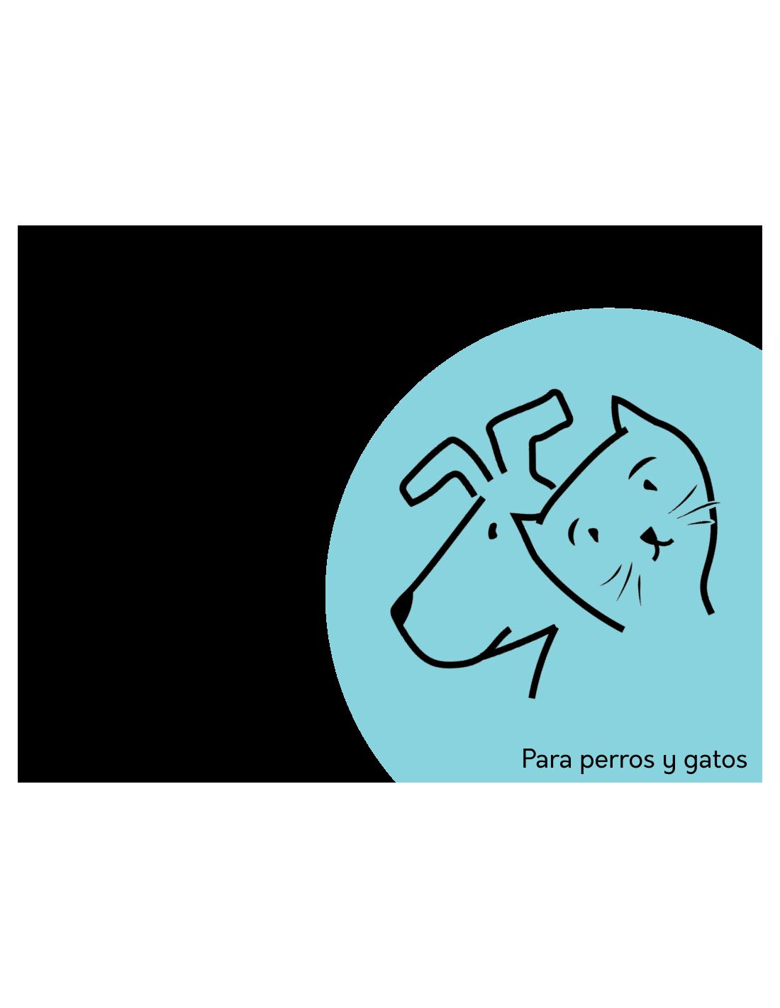 Sardinas, , large Imagen numero 4