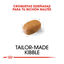 1.5 kg Royal Canin Adult Bichón Maltés pienso para perros, , large indicador imagen numero 5