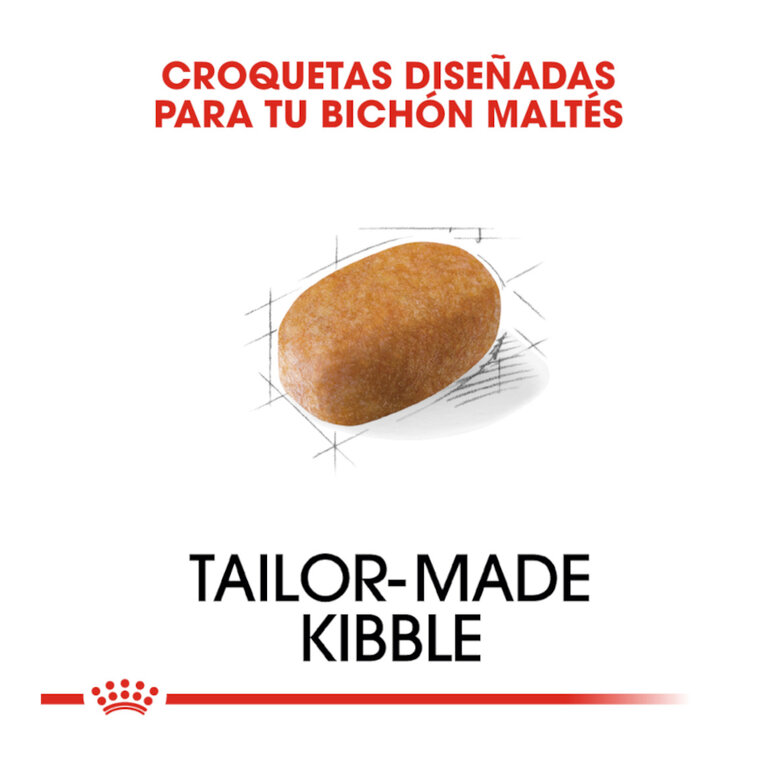 Royal Canin Adult Bichón Maltés pienso para perros, , large image number null