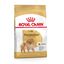Royal Canin Pomeranian Adult pienso para perros, , large indicador imagen numero 1