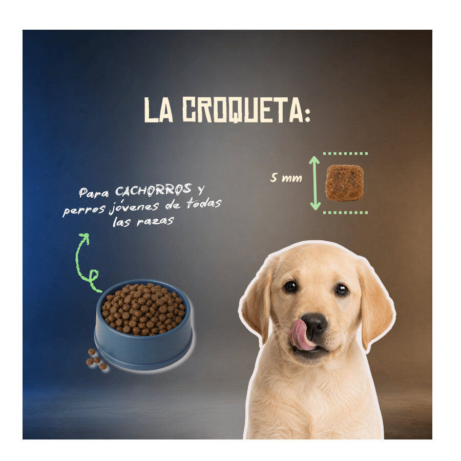 2 Kg Lenda Grain Free Conejo puppy pienso para perros, , large Imagen numero 7