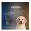 2 Kg Lenda Grain Free Conejo puppy pienso para perros, , large indicador imagen numero 7