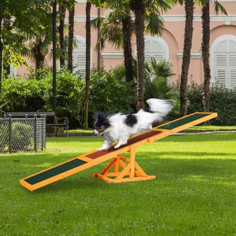 PawHut balancín Agility superficie antideslizante multicolor para perros, , large image number null
