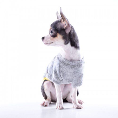Camiseta Nun Home para perros color Gris, , large Imagen numero 1