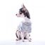 Camiseta Nun Home para perros color Gris, , large indicador imagen numero 1