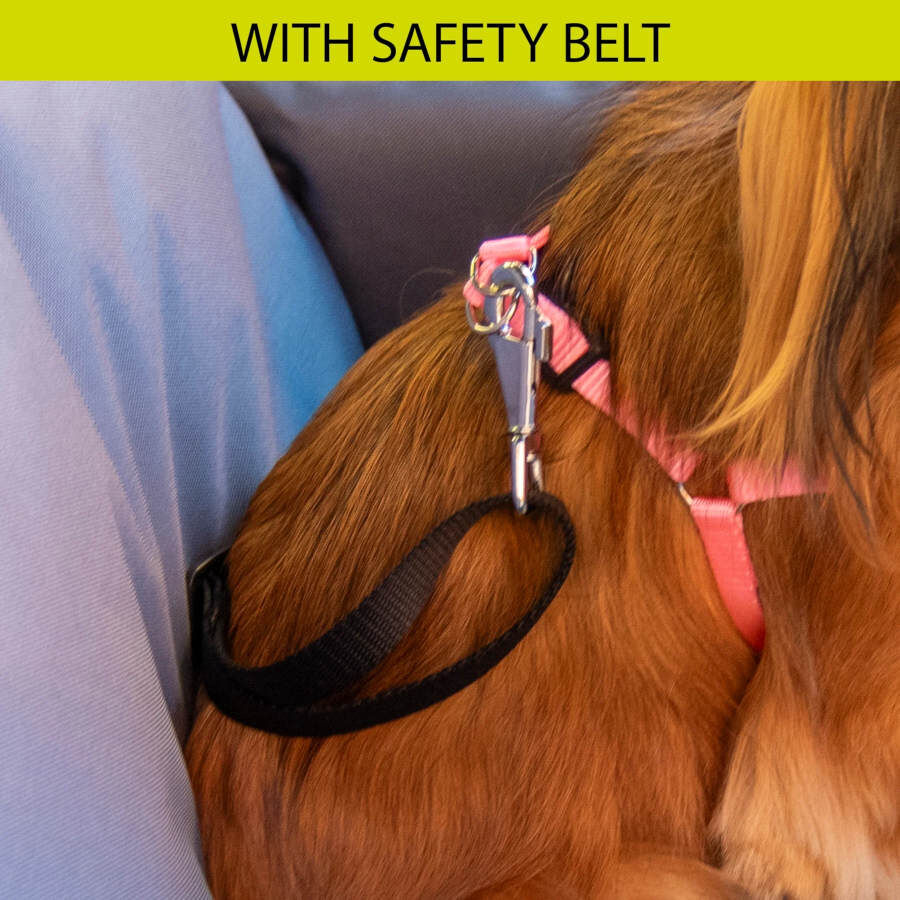 Ferplast Cruiser Marrón Bolsa de Transporte para perros thumbnail