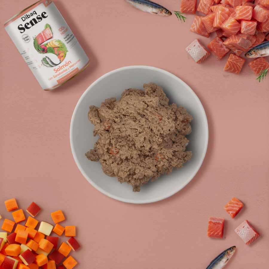 380 g Dibaq Sense Lata Grain Free Salm&oacute;n para perros, , large Imagen numero 3