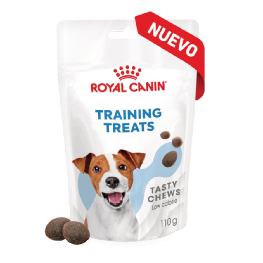 Royal Canin Training Treats Snacks para perros thumbnail