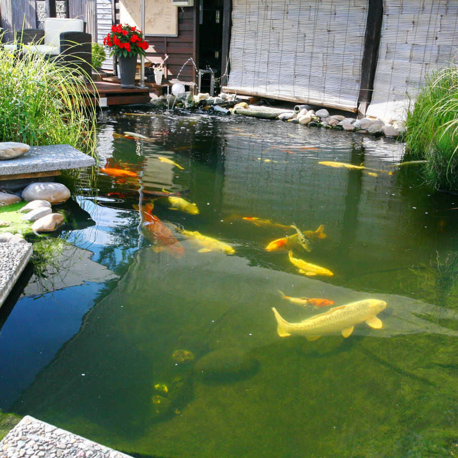 JBL ProPond Flakes alimento para peces thumbnail