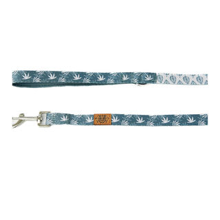 Pets and Props Correa Webbing Lil Stoner Dual S para perro