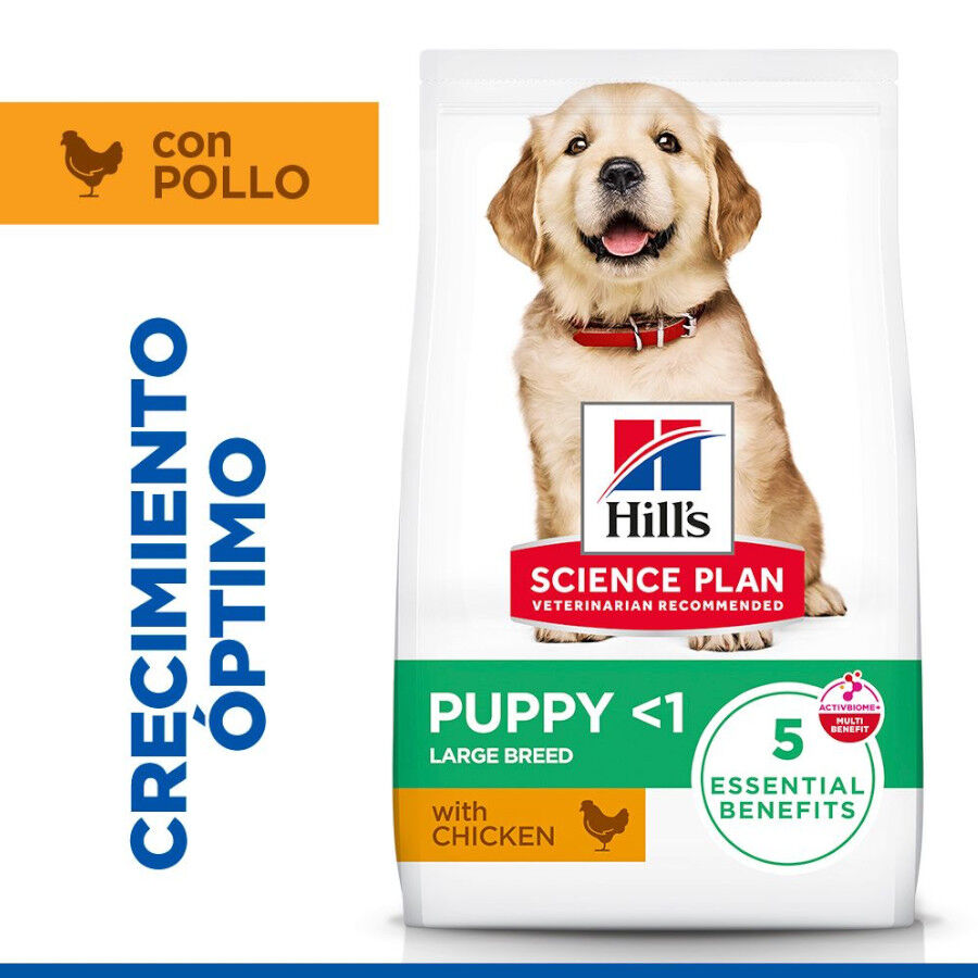 14.5 kg Hill's Science Plan Puppy large Pollo pienso para perros, , large Imagen numero 2