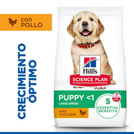 Hill's Science Plan pienso pollo para cachorros de razas grandes