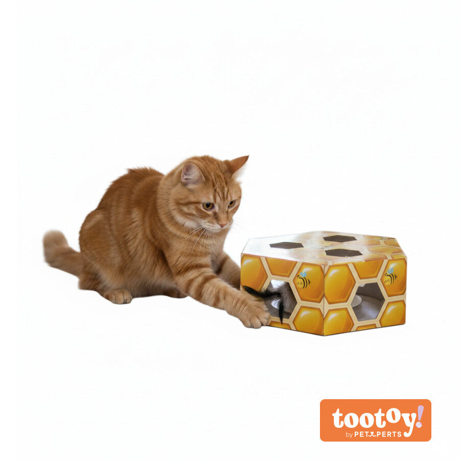 Tootoy! Panal de abeja interactivo con plumas para gatos, , large Imagen numero 9