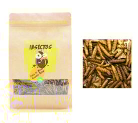 Finca Casarejo Larvas de Mosca Soldado Negra para Pájaros, Peces, Tortugas, Roedores y Reptiles