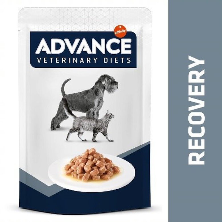 Alimento Advance perro cachorro – Pet Club