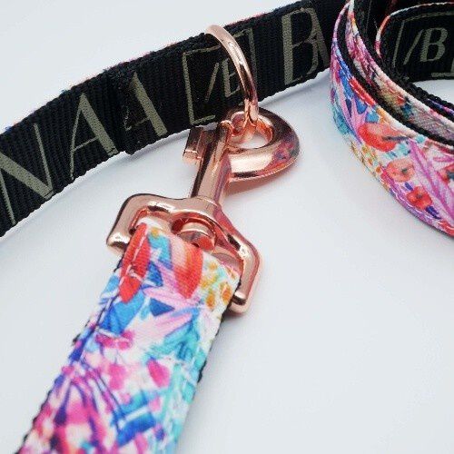 Baona correa manila multiposici&oacute;n de nylon reciclado multicolor para perros, , large Imagen numero 2