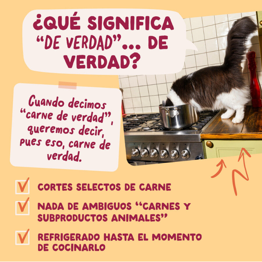 12 x 85 g Edgard & Cooper Festines de la Granja sobre en salsa para gatos, , large Imagen numero 5