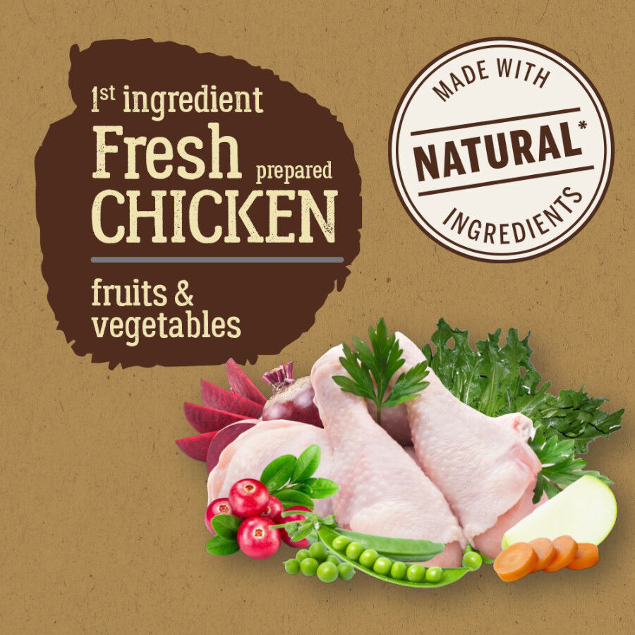 True Origins Pure Adult Medium Maxi Light pienso para perros thumbnail