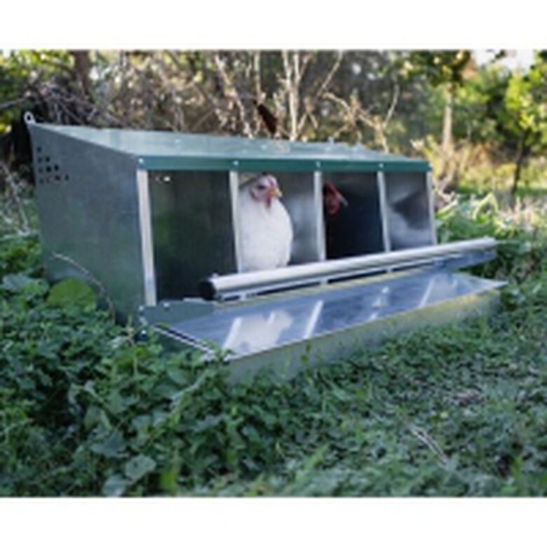 Ormital Ponedero Fénix 4 departamentos para gallinas thumbnail